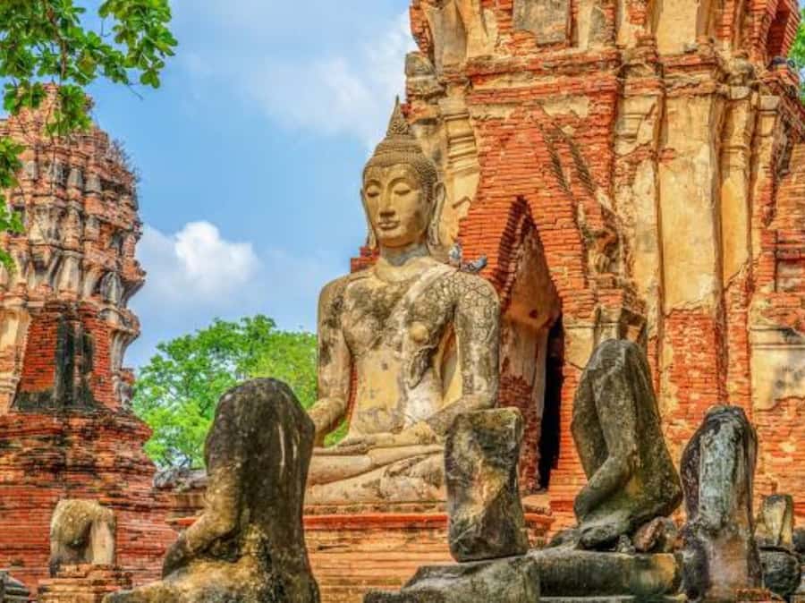 From Bangkok: Ayutthaya Tour, Elephant Palace & Royal Kraal - The guide question matters