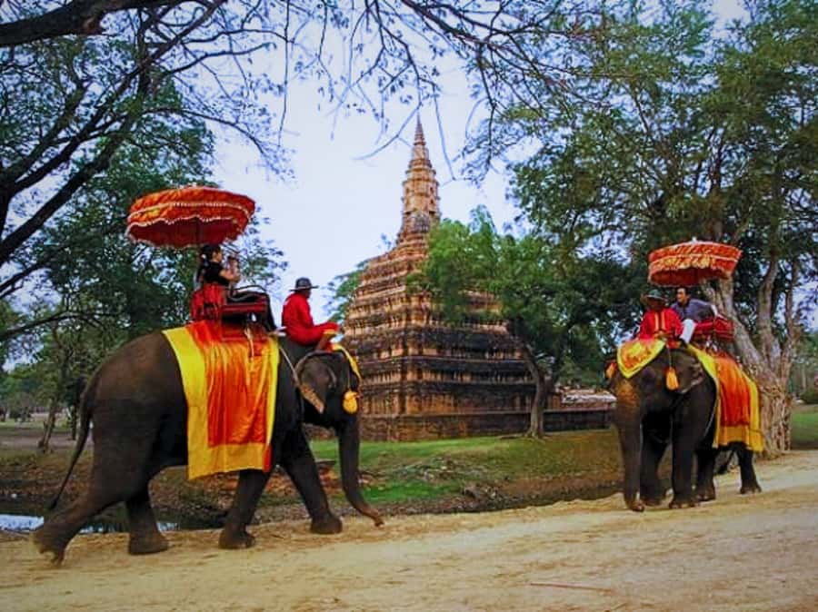 From Bangkok: Ayutthaya Tour, Elephant Palace & Royal Kraal - The 7:00 or 7:30 a.m. start from Bangkok