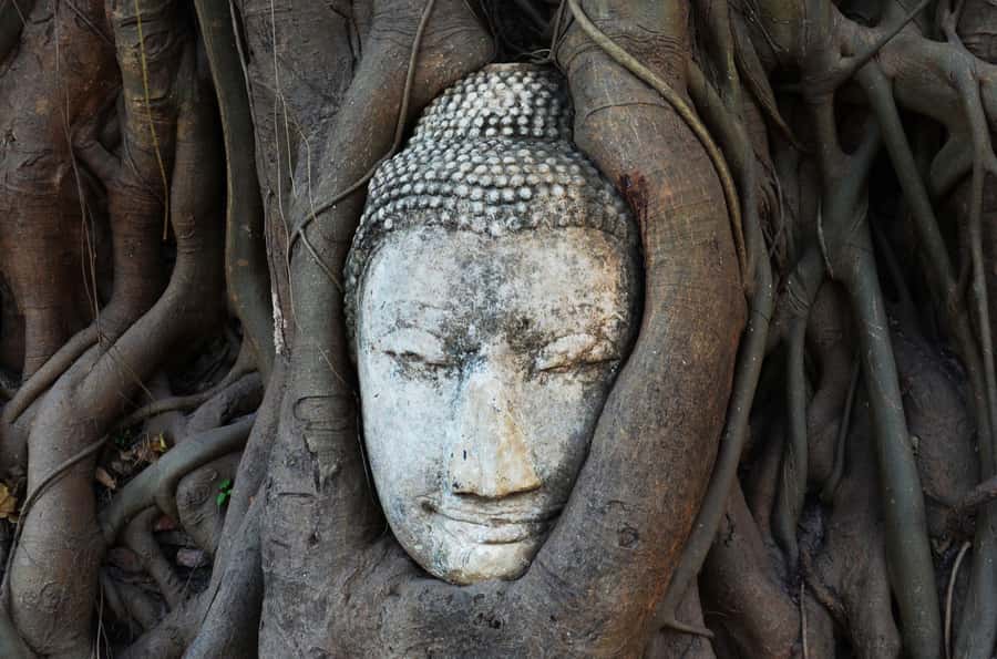 From Bangkok: Bang Pa-In Palace & Ayutthaya Private Trip - Boat noodles for lunch
