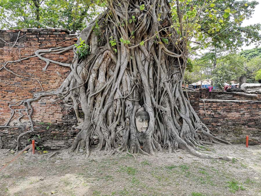 From Bangkok: Private Tour to Ayutthaya & Summer Palace - Why Ayutthaya works well as a private day trip