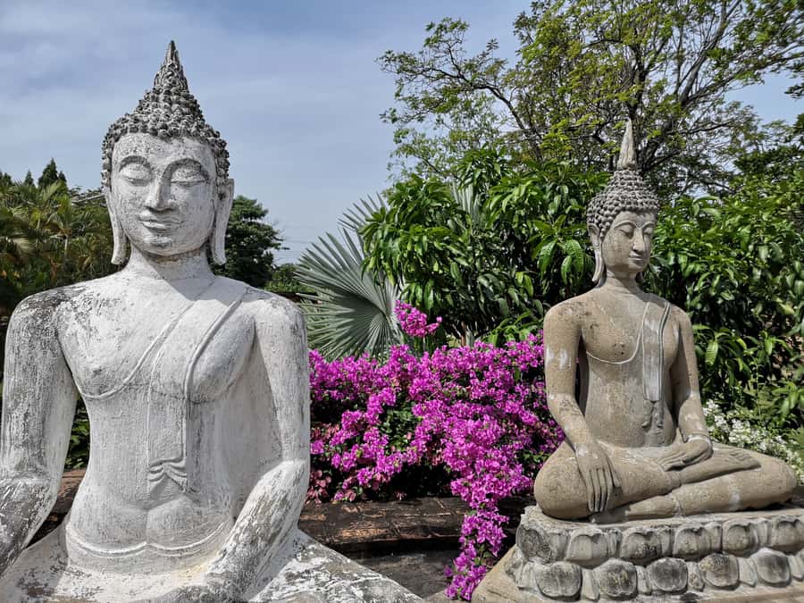 From Bangkok: Private Tour to Ayutthaya & Summer Palace - Lunch in Ayutthaya, with the important extras included