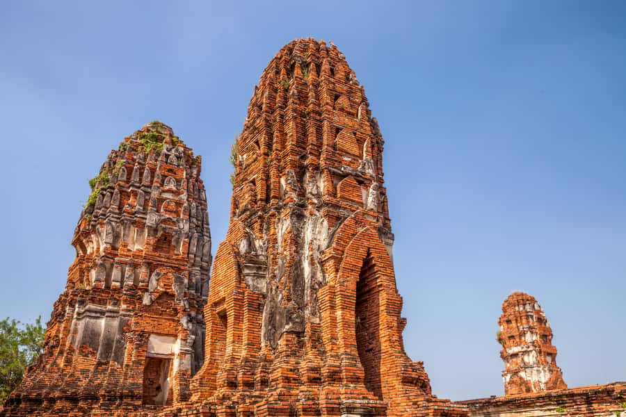 From Bangkok: Private Tour to Ayutthaya & Summer Palace - Wat Mahathat and the Buddha in the tree