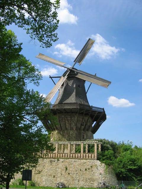 From Berlin: Gardens & Palaces of Potsdam Bike Tour - From Alexanderplatz to Potsdam by train