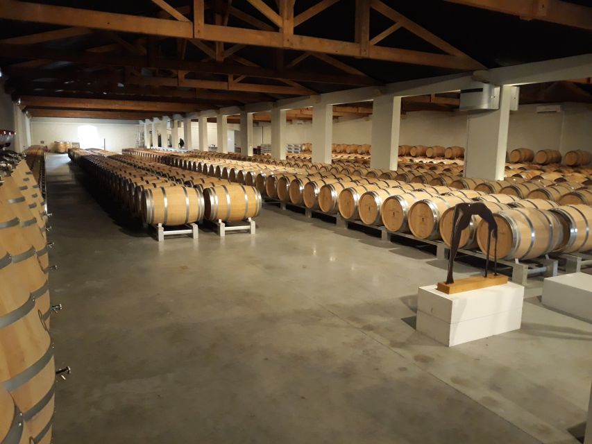 From Bordeaux: Médoc Vineyard and Chateau Tour by Sidecar - Margaux, photo stops, and the return road