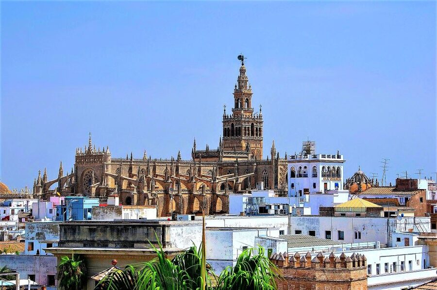 From Costa del Sol: Seville and Royal Alcázar Palace - The 90-Minute Break for Food and Shopping