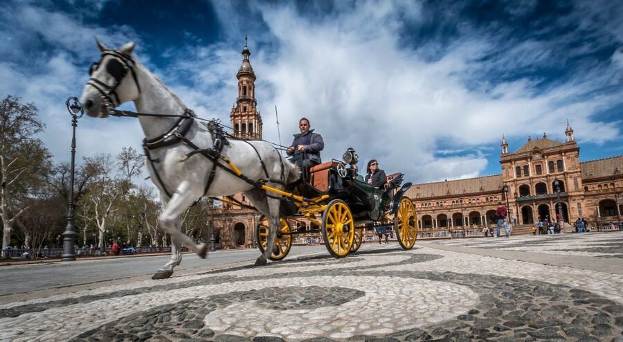 From Costa del Sol: Seville and Royal Alcázar Palace - The Private Drive from the Costa del Sol