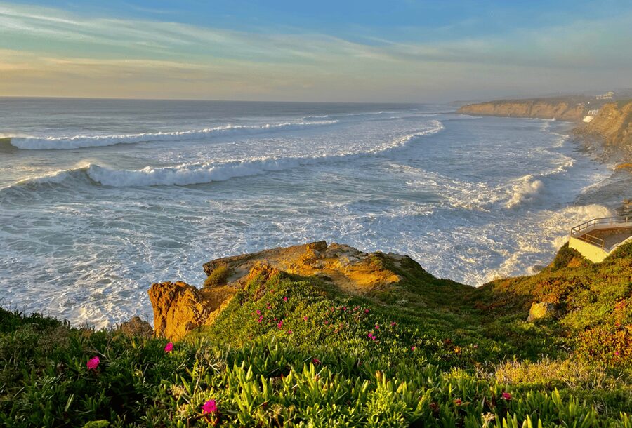 From Lisbon: Mafra Palace and Ericeira - Heritage and the Portuguese Coast - Guide languages and group style