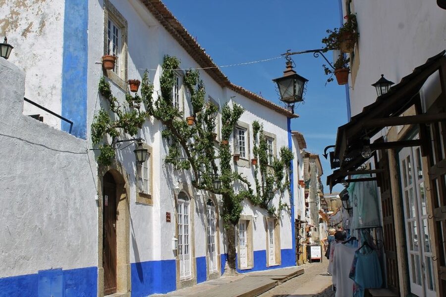 From Lisbon: Óbidos and Mafra Palace Private Tour - Key points to know