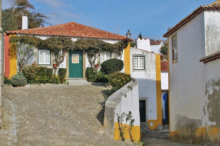 From Lisbon: Óbidos and Mafra Palace Private Tour - The library with more than 30,000 books