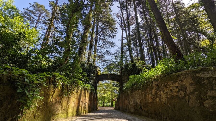 From Lisbon: Sintra Pena Palace Cascais 8-People Group Tour - Practical details before you reserve
