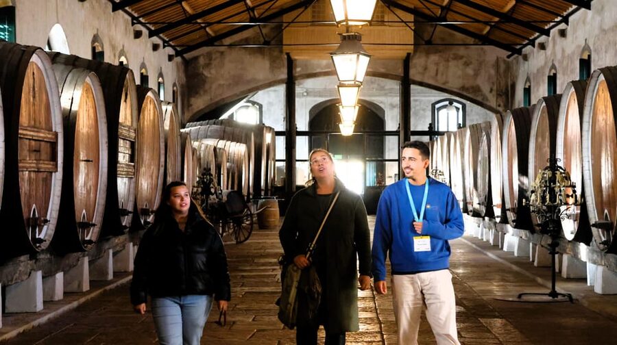 From Lisbon: Sintra, Pena Palace, Cascais and Wine Tasting - Meeting the guide at Edward VII Park