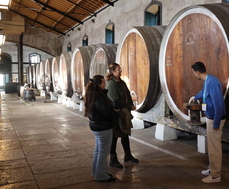 From Lisbon: Sintra, Pena Palace, Cascais and Wine Tasting - Entering the colorful Pena Palace
