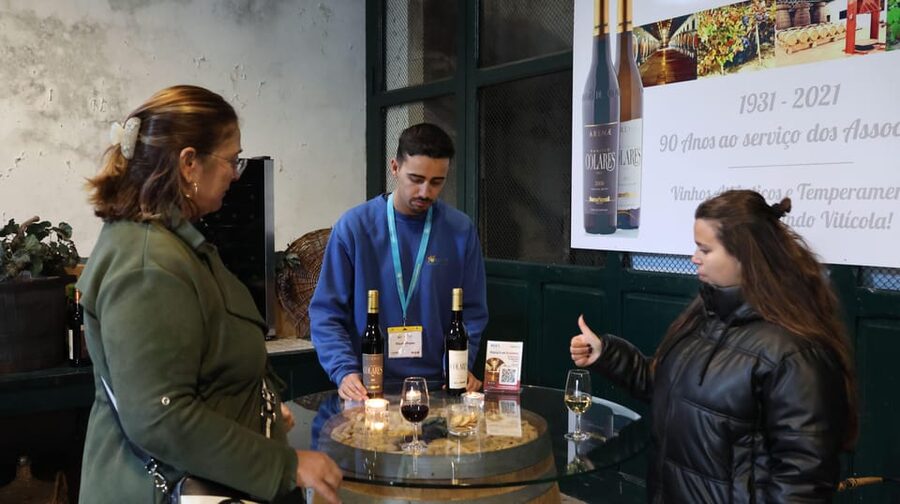 From Lisbon: Sintra, Pena Palace, Cascais and Wine Tasting - Reaching Cabo da Roca and the Atlantic