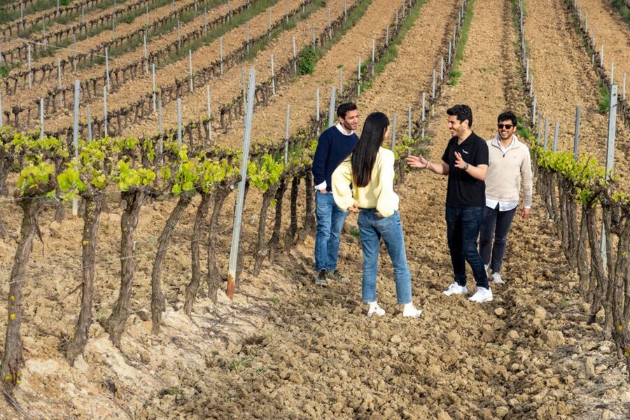 From Lisbon: Sintra & Pena Palace Day Trip with Wine Tasting - Key points to know before booking