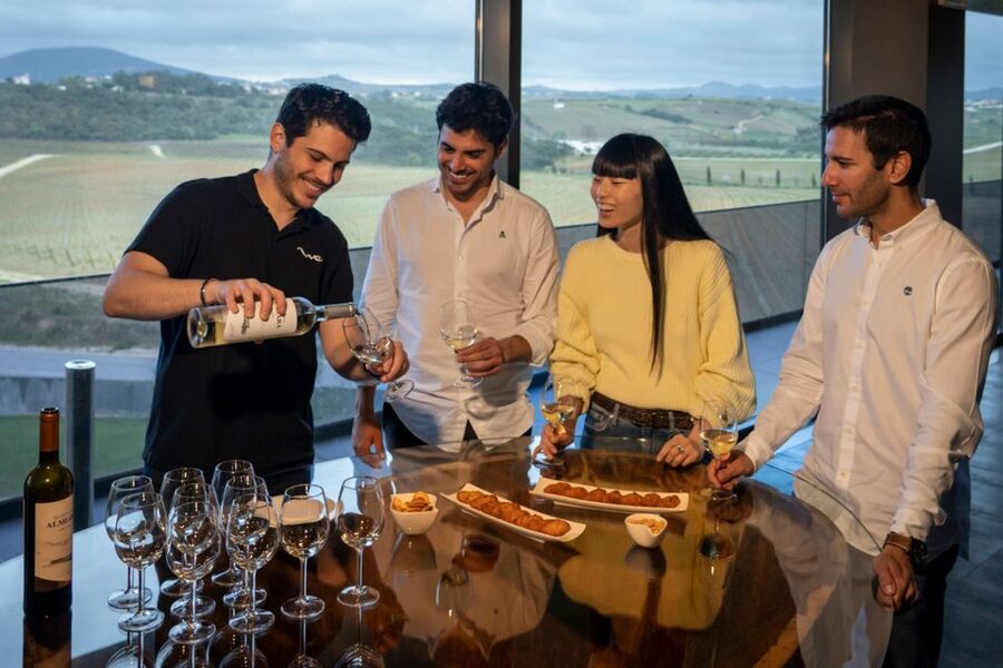 From Lisbon: Sintra & Pena Palace Day Trip with Wine Tasting - Price and what the $117 covers