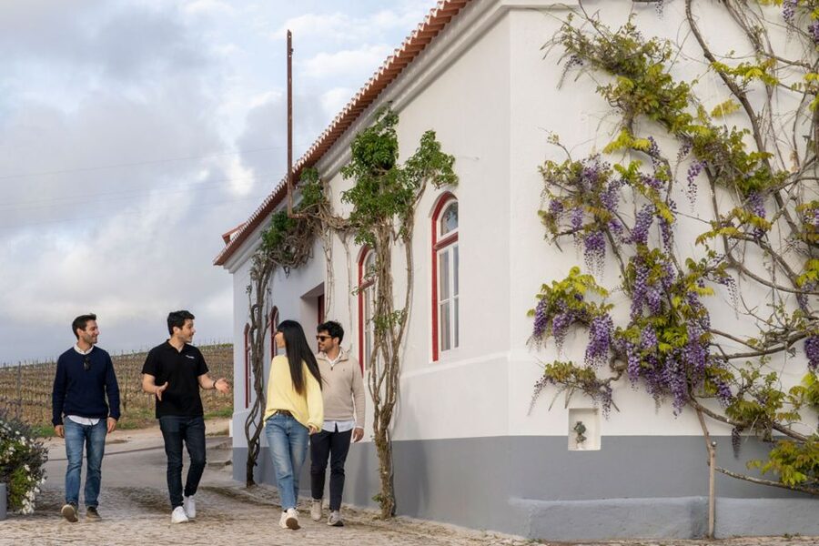 From Lisbon: Sintra & Pena Palace Day Trip with Wine Tasting - Meeting in central Lisbon and setting out