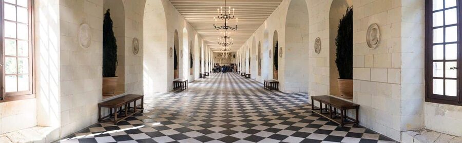 From Tours/Amboise: Chenonceau & Chambord Chateaux Day Trip - How much value do you get for $199?