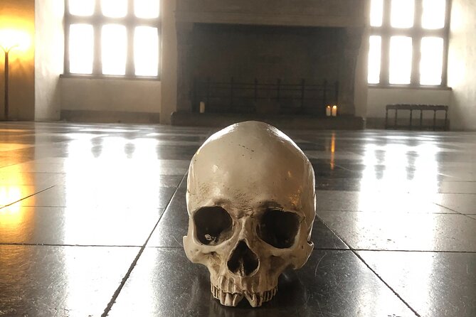 Full-Day; Castle, Palace, Cathedral & Viking ships Tour - Kronborg Castle and the world of Hamlet