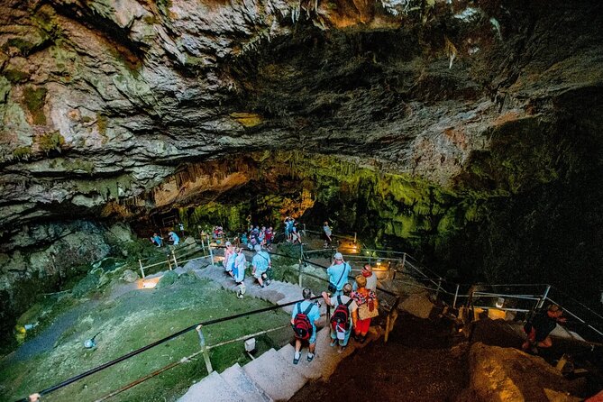 Full-Day/Half-Day Tour : Lasithi Plateau & Knossos Palace - Knossos Palace and the Minoan story