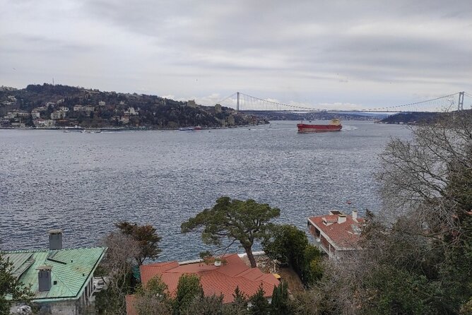 Full Day Istanbul Bosphorus Cruise and Dolmabahce Palace Tour with Private Guide - A two-hour public boat ride on the Bosphorus
