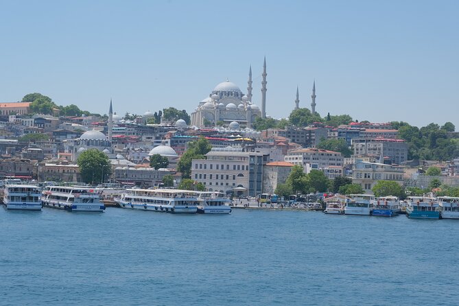 Full Day Istanbul Bosphorus Cruise and Dolmabahce Palace Tour with Private Guide - Who will get the most from this tour