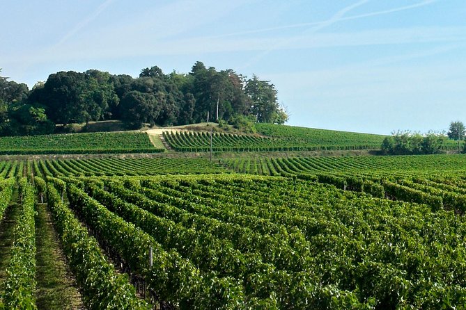 Full-day Saint-Emilion: Village, Undergrounds and Châteaux - Who will get the most from this tour