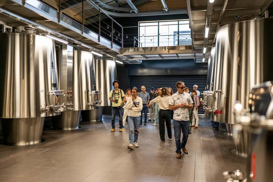 Full-day Saint-Emilion: Village, Undergrounds and Châteaux - The guide and the value of having a group