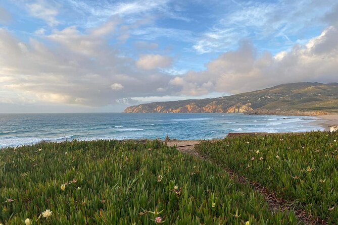 Full Day Tour in Sintra Pena Palace and Quinta de Regaleira - Guincho Beach and a short look at the surf coast