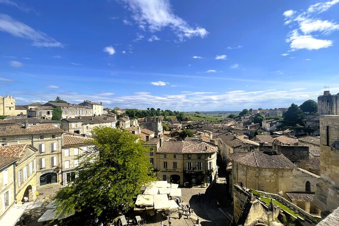 Full Day Tour Saint Emilion with lunch two Chateaux and Village - Who should book this Saint-Émilion day?