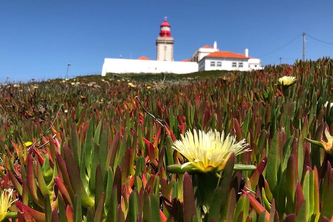 Full Day Tour: Sintra, Pena Palace, Cabo da Roca, Cascais - Cabo da Roca: 25 minutes at Europe’s western edge