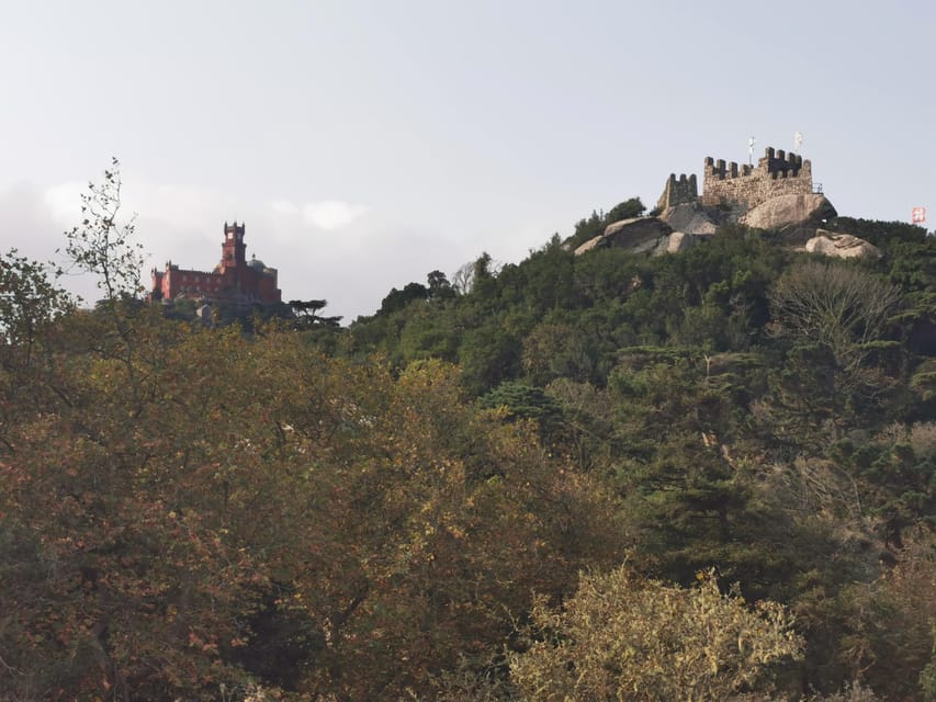 Full-day tour to Sintra with a visit to Pena Palace and Quinta da Regaleira - Why this private Sintra day works well