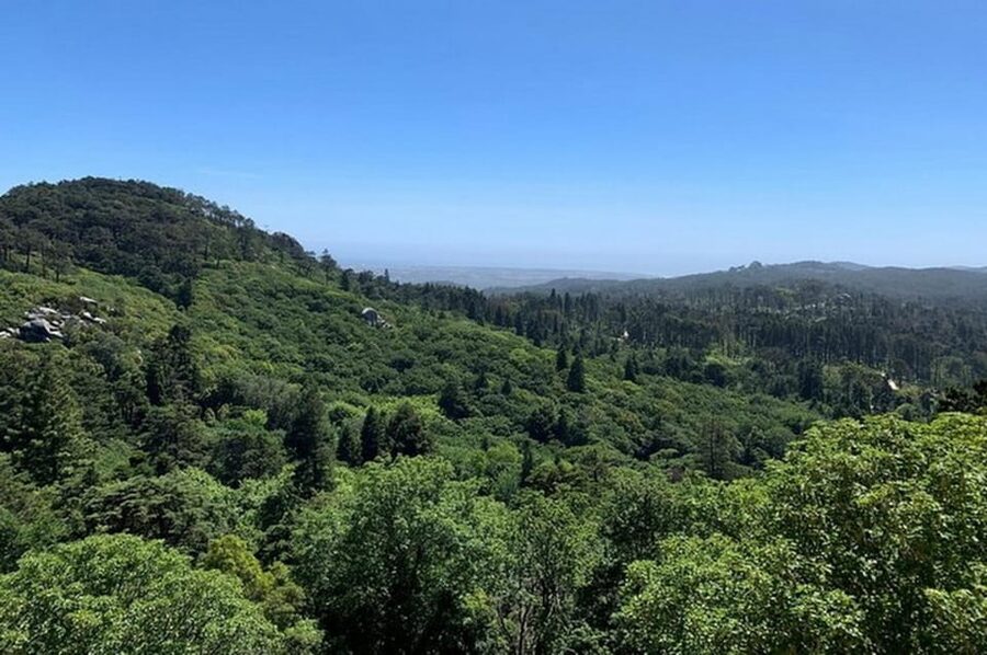 Full-day tour to Sintra with a visit to Pena Palace and Quinta da Regaleira - Cabo da Roca and the open Atlantic views