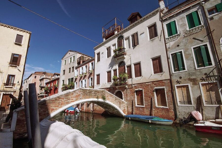 Full Venice Walking Tour: Doge's Palace and St. Mark's - What the guide can add, and where the tour may falter