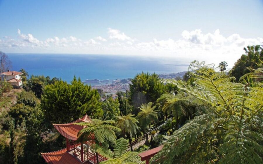 Funchal: Monte Palace Tropical Gardens Tuk Tuk Tour - Why the tuk tuk is a smart way to reach Monte