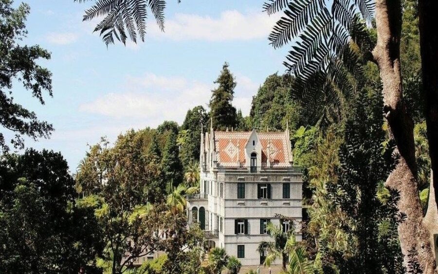 Funchal: Monte Palace Tropical Gardens Tuk Tuk Tour - Starting in central Funchal and finding your bearings