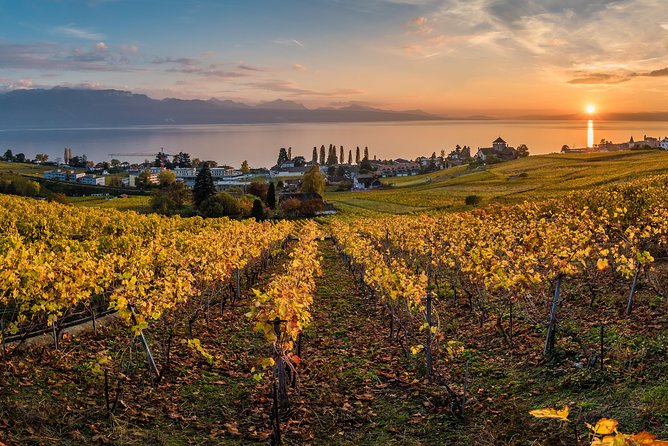Geneva to Lausanne, Montreux and Château Chillon Private Tour - Price, packages, and real value