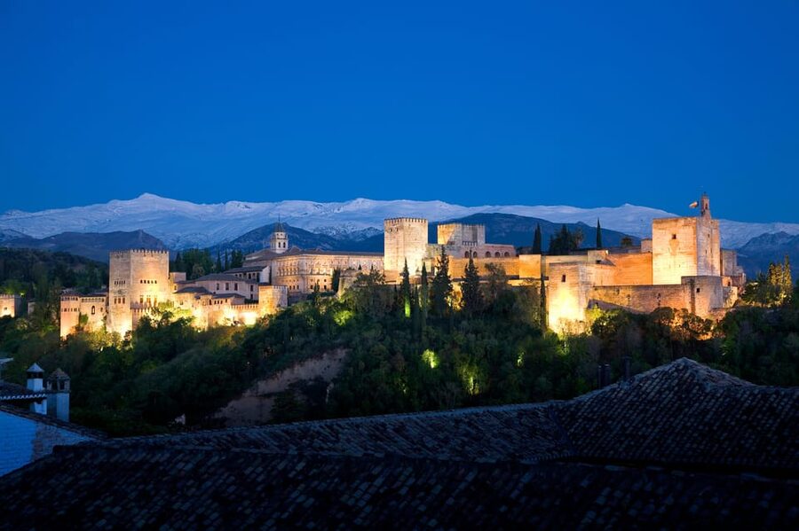 Granada: Alhambra, Alcazaba, and Nasrid Palaces Tour - Who gets the best value from $58
