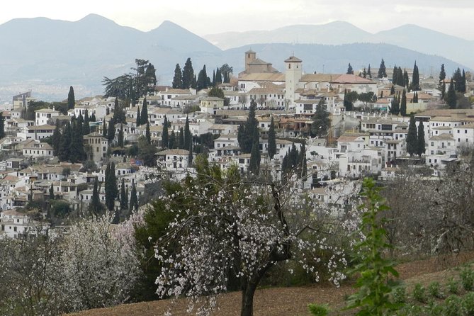 Granada Day Trip: Alhambra & Nazaries Palaces from Seville - Timing problems and guide quality