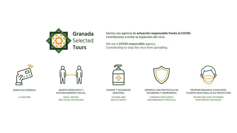 Granada: Fast-Track Alhambra & Nasrid Palaces Guided Tour - The Nasrid Palaces and Courtyard of the Lions