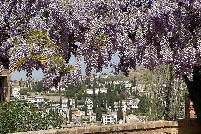 Granada : Private Alhambra Tour + Nazaries Palaces (VIP) - Why the Nasrid Palaces make this tour tempting