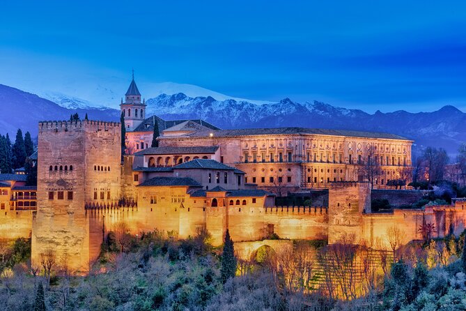 Granada : Private Alhambra Tour + Nazaries Palaces (VIP) - Meeting point, timing, and physical effort
