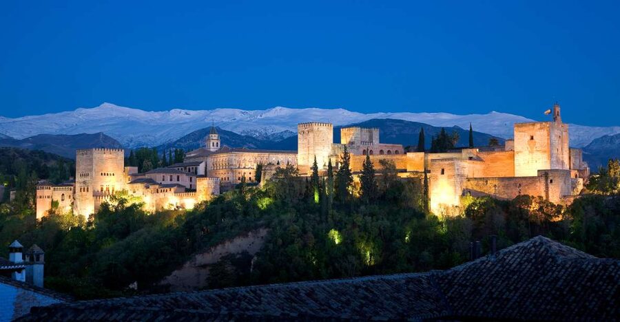 Granada: The Alhambra and Nasrid Palaces Guided Night Tour - The Palace of the Lions is the night’s main scene