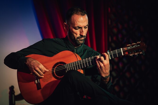 Grenada: Flamenco Palace, the best show in the center - Who will enjoy Palacio Flamenco most