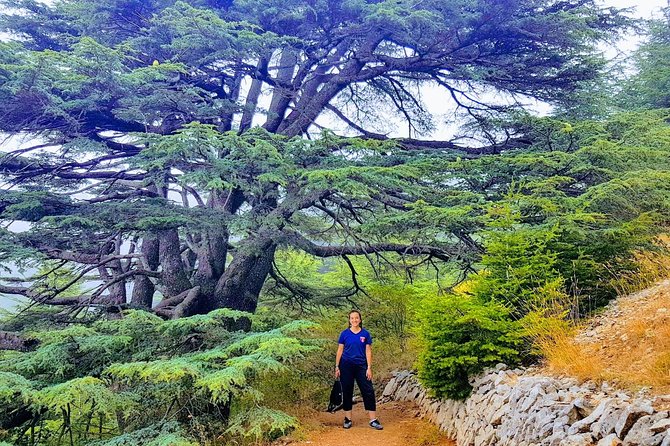 Guided Full-Day Private Trip to Cedars, Baalbek and Chateau Ksara - Why this Beirut day trip works