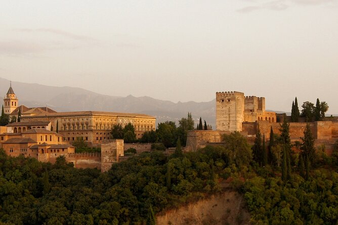 Guided tour of Alhambra and Generalife with Nasrid Palaces - Partal Palace and the Tower of the Ladies