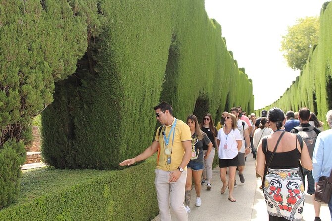 Guided visit to the Alhambra, Nasrid Palaces and Generalife - Inside the Nasrid Palaces