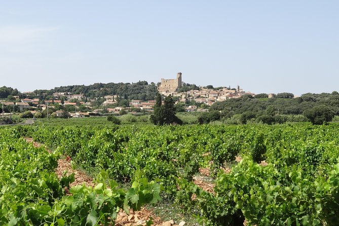 Highlights of Provence : Chateauneuf du Pape & Luberon - Morning pickup and the road north from Avignon