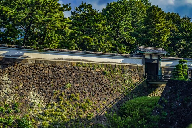 Imperial Palace East Garden and Edo Castle Walking Tour in Tokyo - Why the guide matters more than the admission price