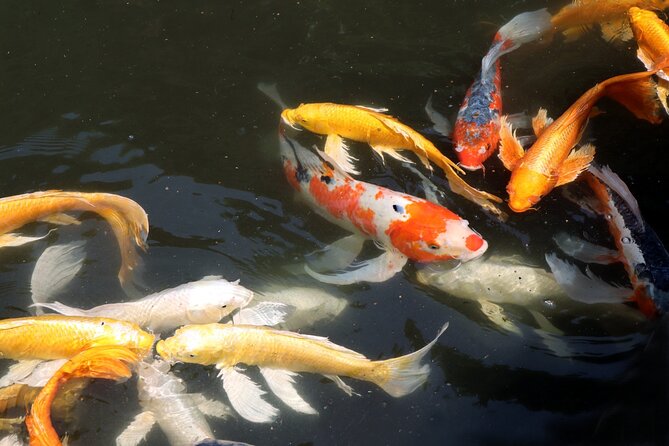 Imperial Palace East Garden and Edo Castle Walking Tour in Tokyo - Is $25 a fair price?