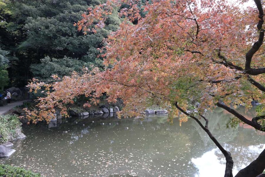 Imperial Palace Tour: Discover Samurai History with a Guide - Is $24 Good Value?